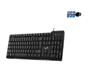 TECLADO GENIUS KB-100X USB SP BLACK (31310049401)